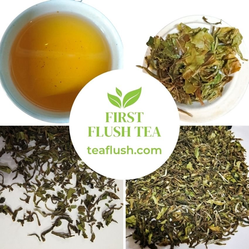 Darjeeling First Flush Tea Darjeeling First Flush Tea