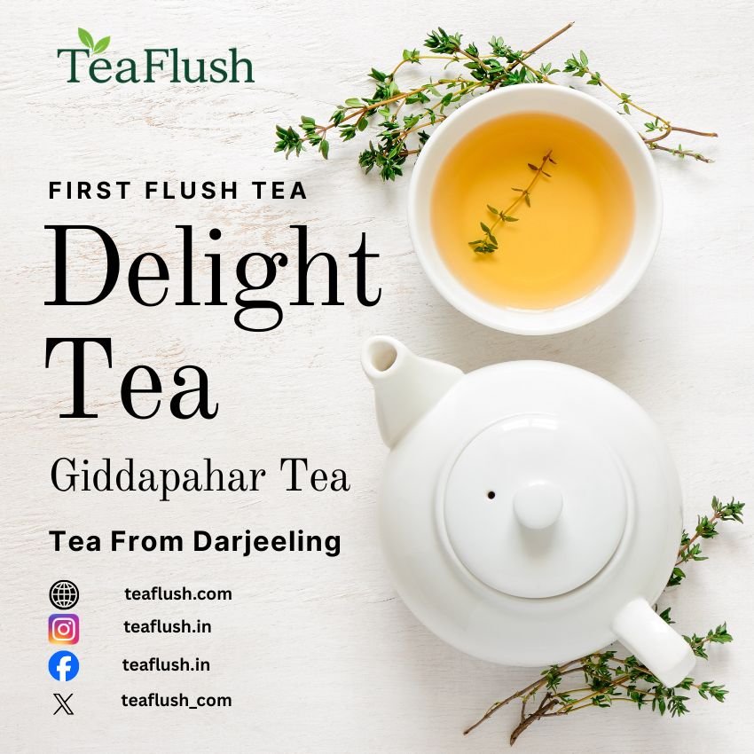 Delight Tea Giddapahar