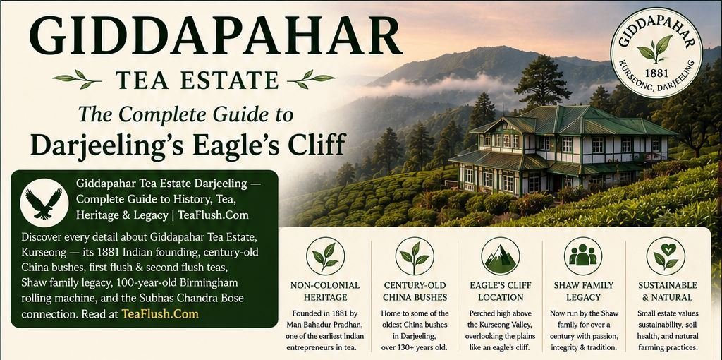Giddapahar Tea Estate darjeeling
