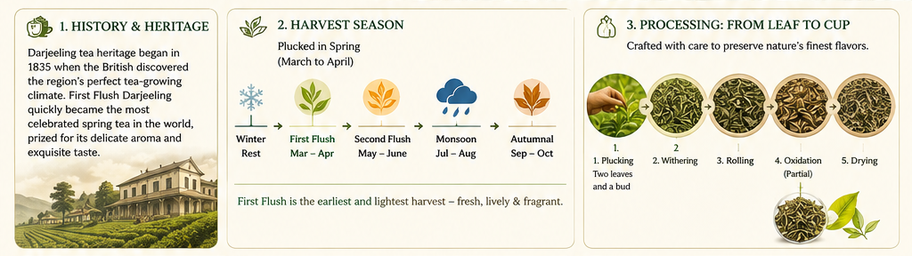 First flush tea season
