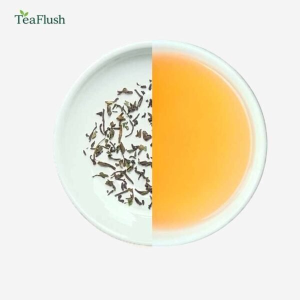 loose leaf premium tea