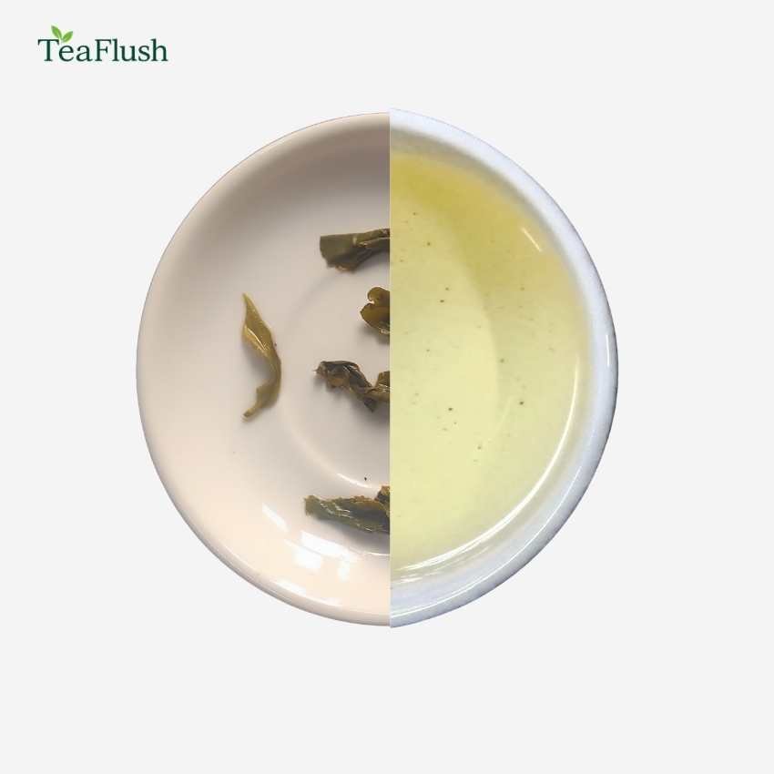 Green Tea – Morning