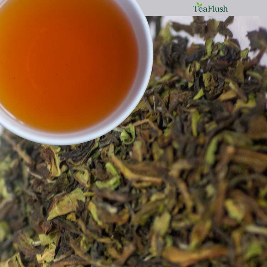 first flush tea
