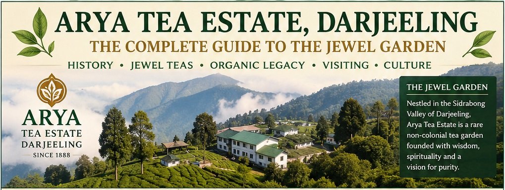 Arya Tea estate darjeeling