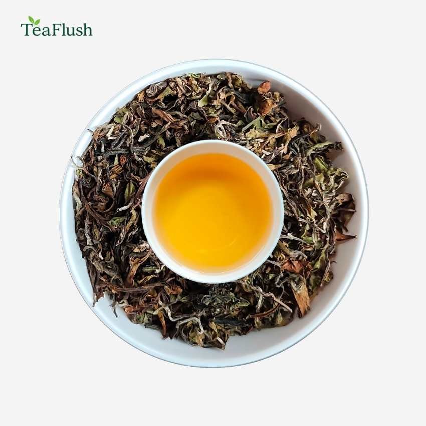 Giddapahar Clonal Wonder Darjeeling Tea First Flush 2026 Giddapahar Clonal Wonder Darjeeling Tea First Flush 2026