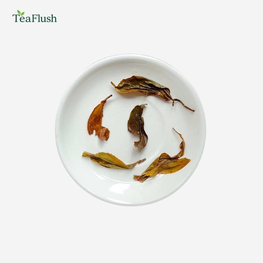 Giddapahar - Clonal Wonder 1st Flush 2026 | 100 Grams