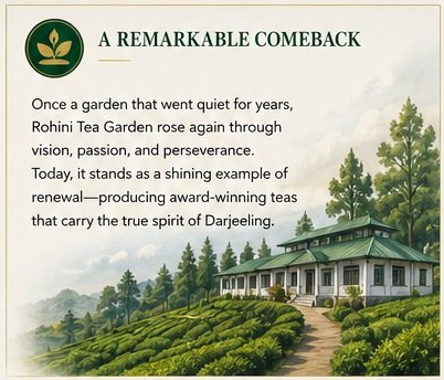 Rohini Tea Garden remarkable comeback