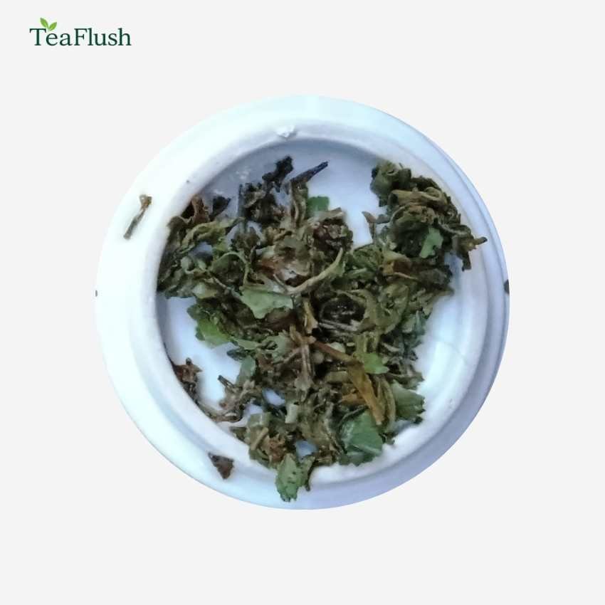 Singbulli SGTFFOP1 First Flush Darjeeling Tea infusion