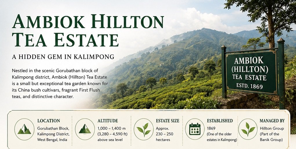 ambiok hillton tea estate