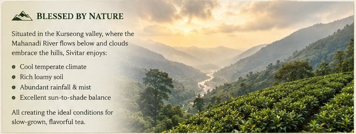 sivitar tea garden blessed by nature