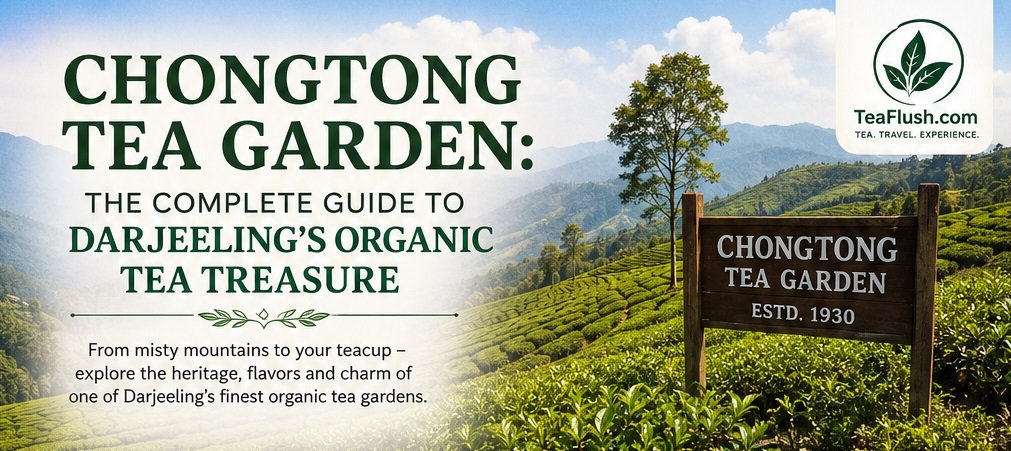 chongtong tea garden