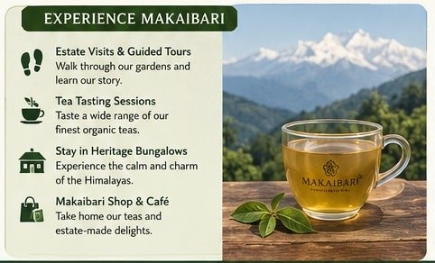 experience makaibari