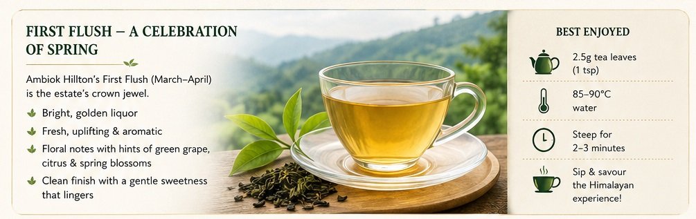 first fresh tea from hilton tea estate