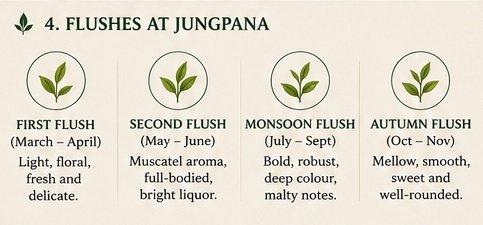 flushes at junpana
