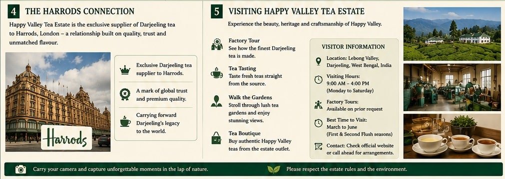 happy valley tea estate darjeeling visiting