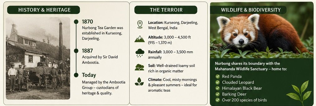 nurbong tea estate history