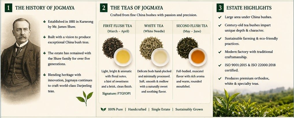 jogamaya tea estate highlights