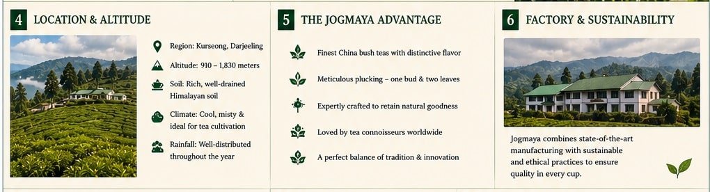 jogmaya altitude