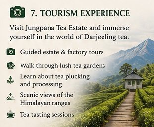 jungpana tourism experince