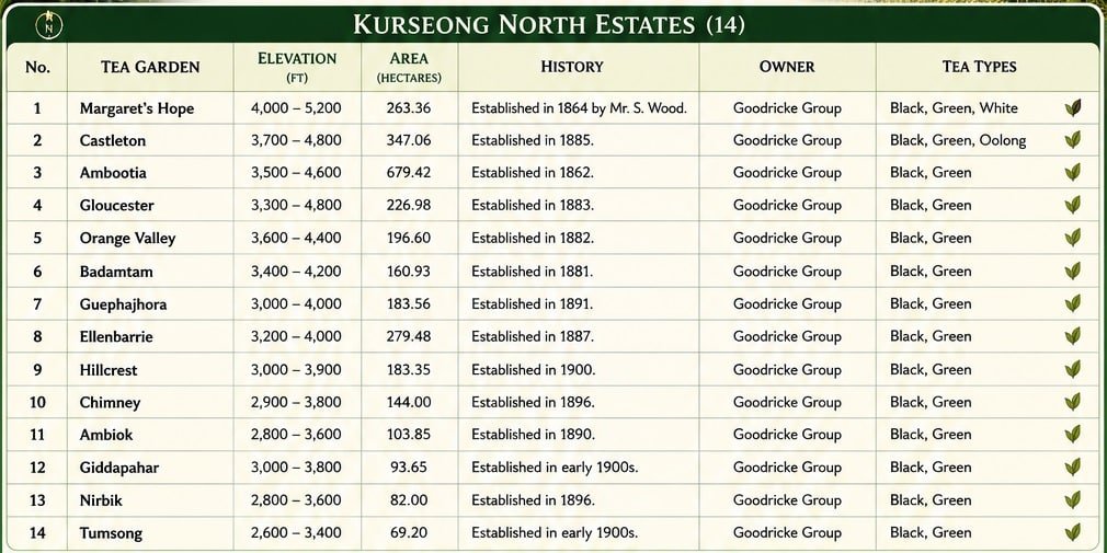 kurseong tea gardens north
