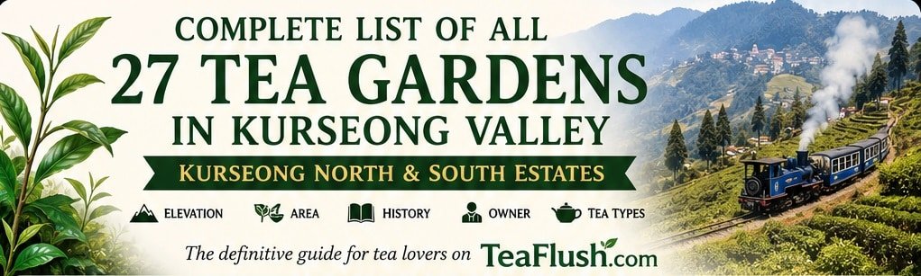 All Tea Gardens in Kurseong Valley
