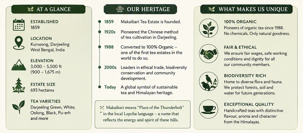 makaibari tea estate at glance