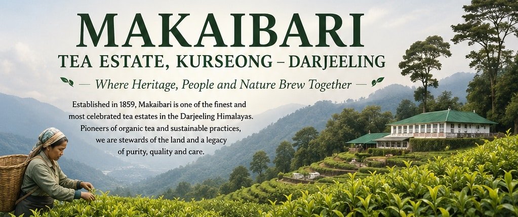 makaibari tea estate