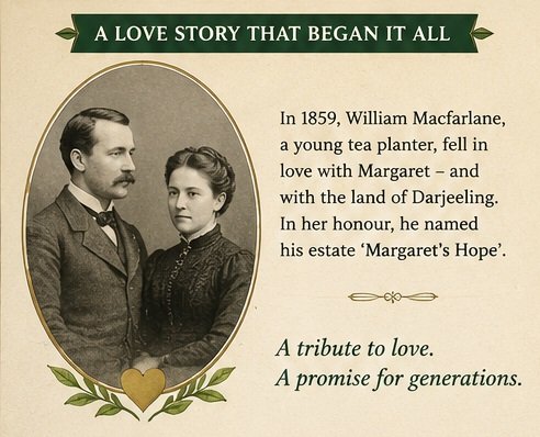 margarets hope tea estate kurseong