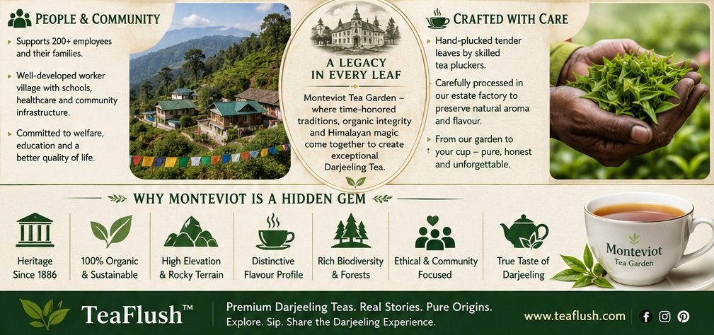montevoit tea garden legacy