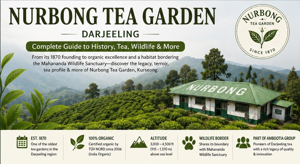 nurbong tea estate
