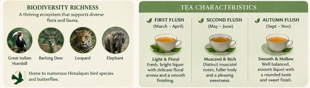 seepoydhura tea characterstics