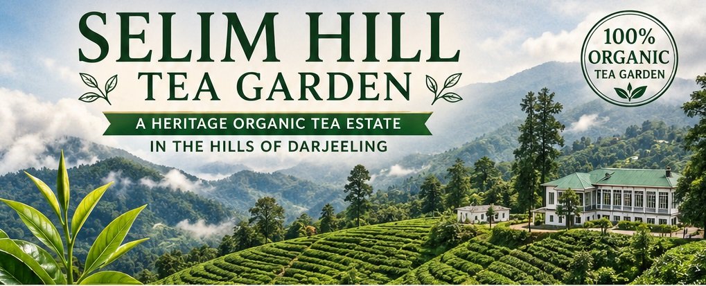selim hill tea garden