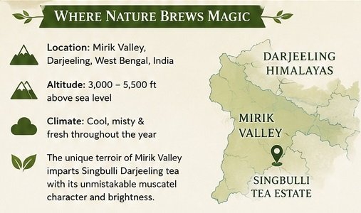 singbulli brew by nature