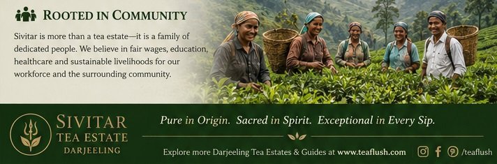 sivitar kurseong darjeeling