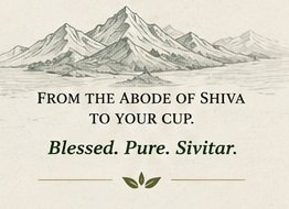 sivitar tea taste