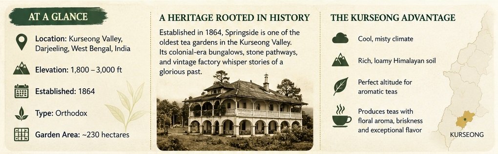springside tea garden at a glance