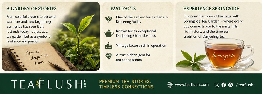 springside tea garden fast fact