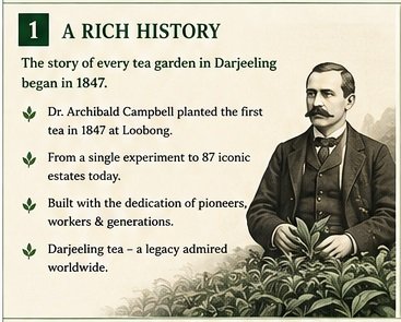 tea garden in darjeeling history