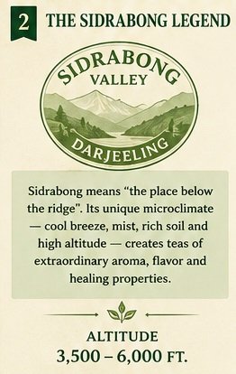 arya tea estate elevation altitude