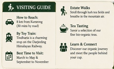 tidharia visiting guide