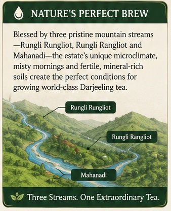tindharia brew