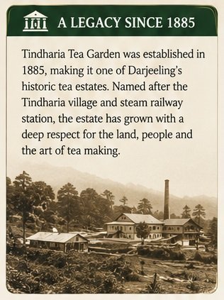 tindharia legacy