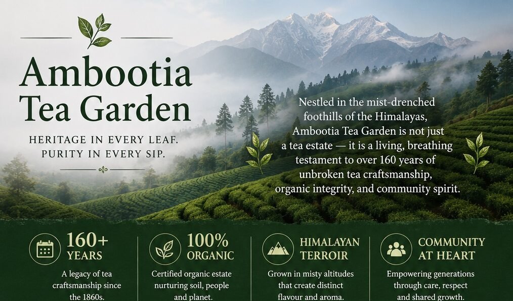 Ambootia Tea Garden