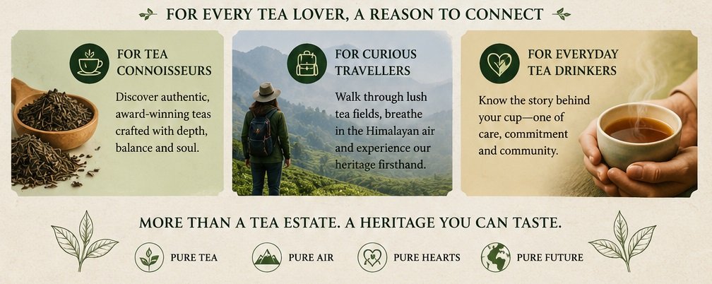 ambootia tea estate tea lover