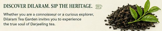 dilaram heritage