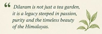 dilaram tea