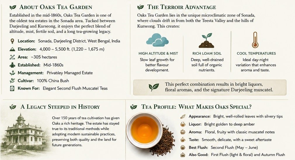 teaflush oaks tea garden