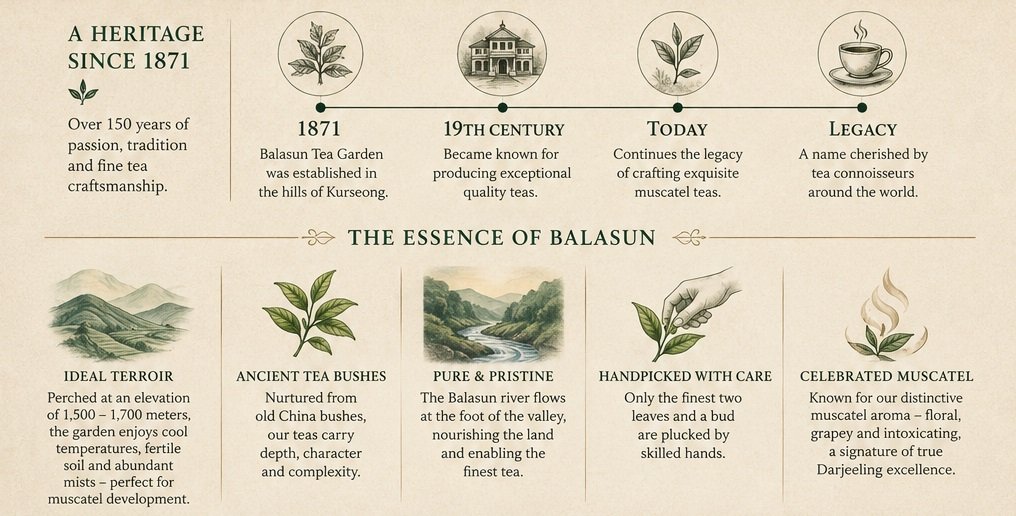 the essence of balasun